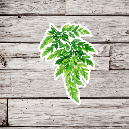 Fern Sticker