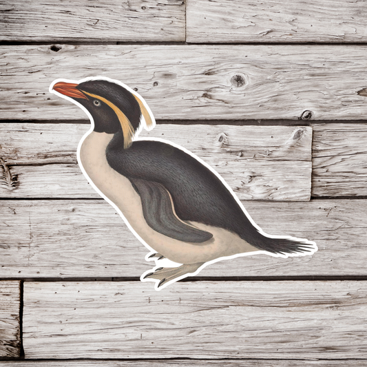 Fiordland Penguin Sticker