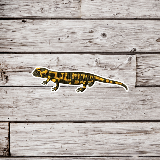 Fire Salamander Sticker