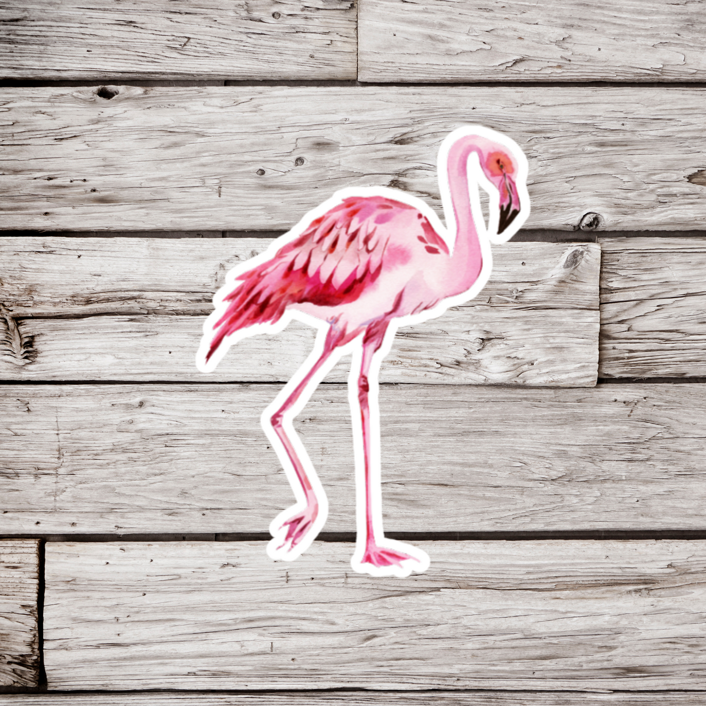 Flamingo Sticker