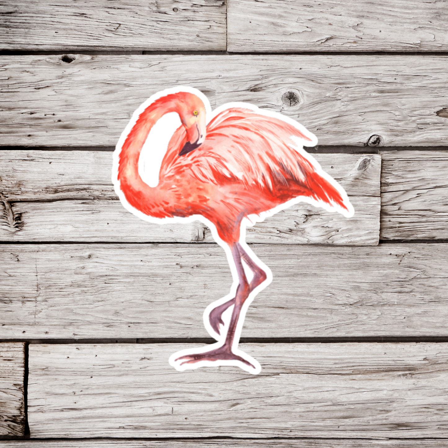 Flamingo Sticker