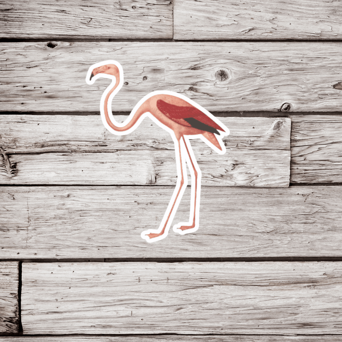 Flamingo Sticker