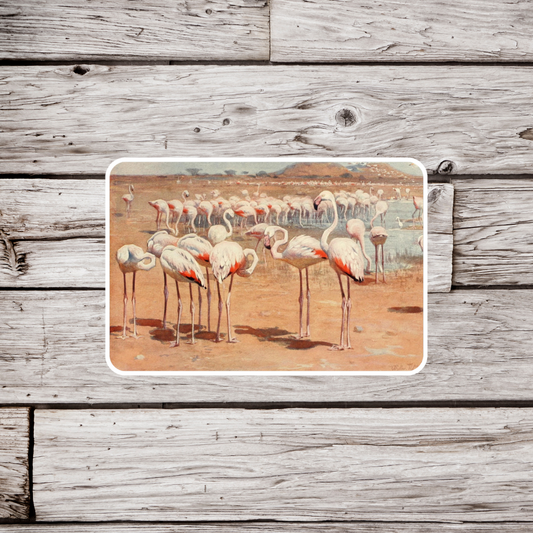 Flamingo Sticker