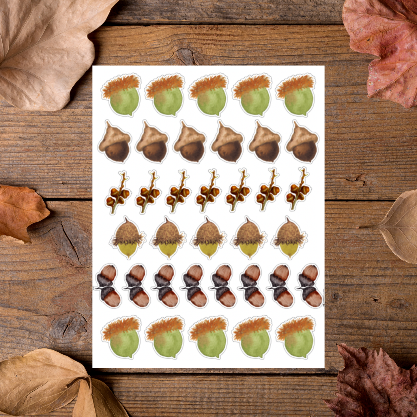 Acorn Sticker Sheet