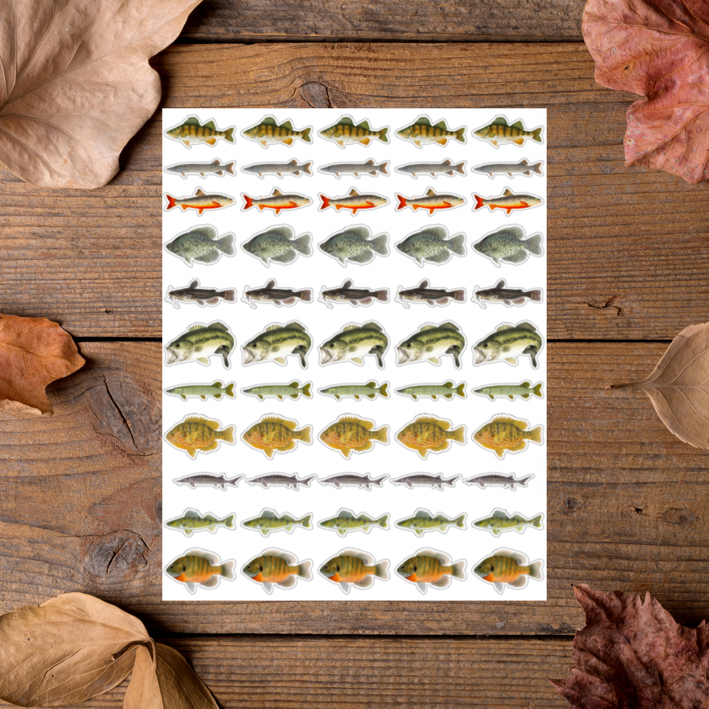 Lake Fish Sticker Sheet