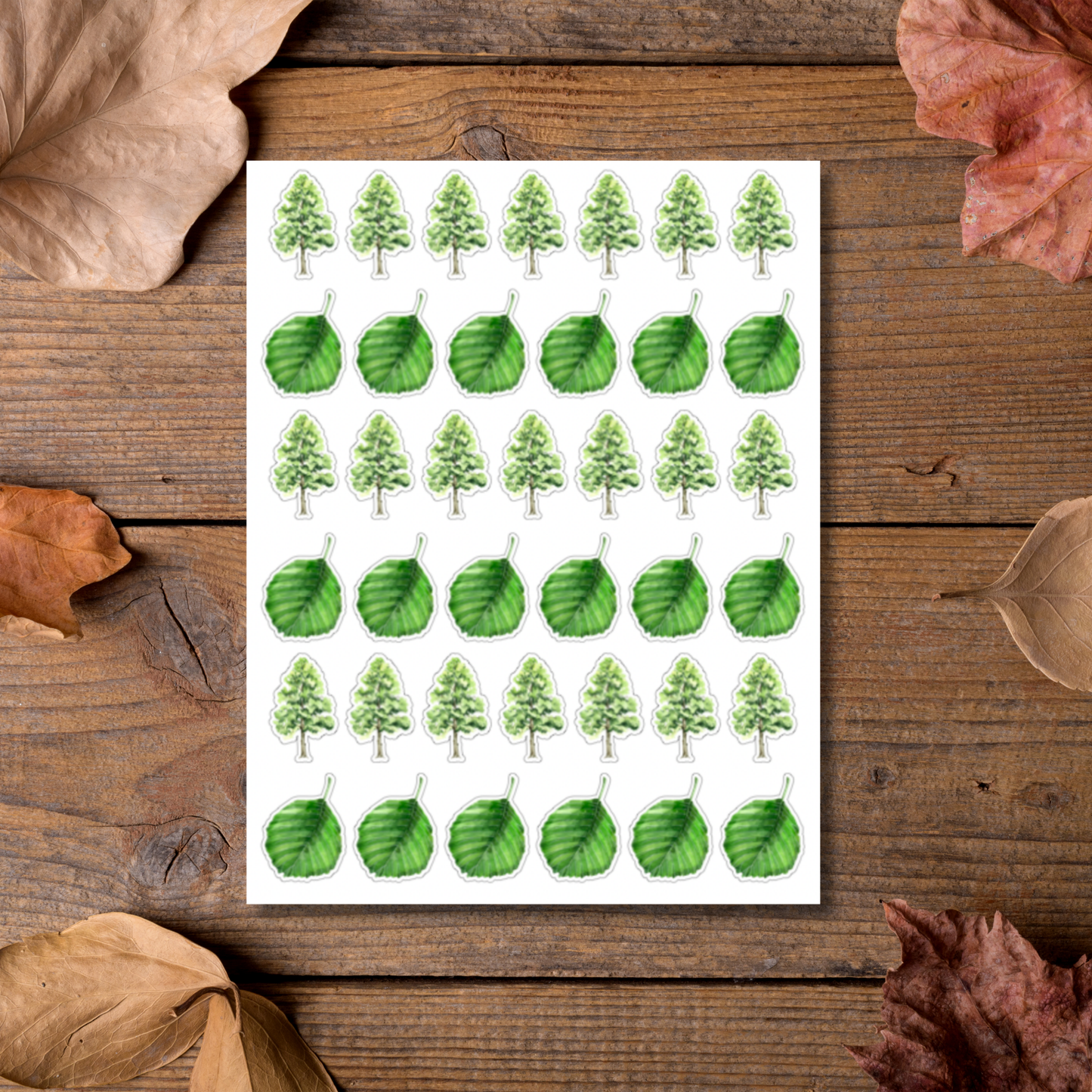 Alder Tree & Leaf Sticker Sheet