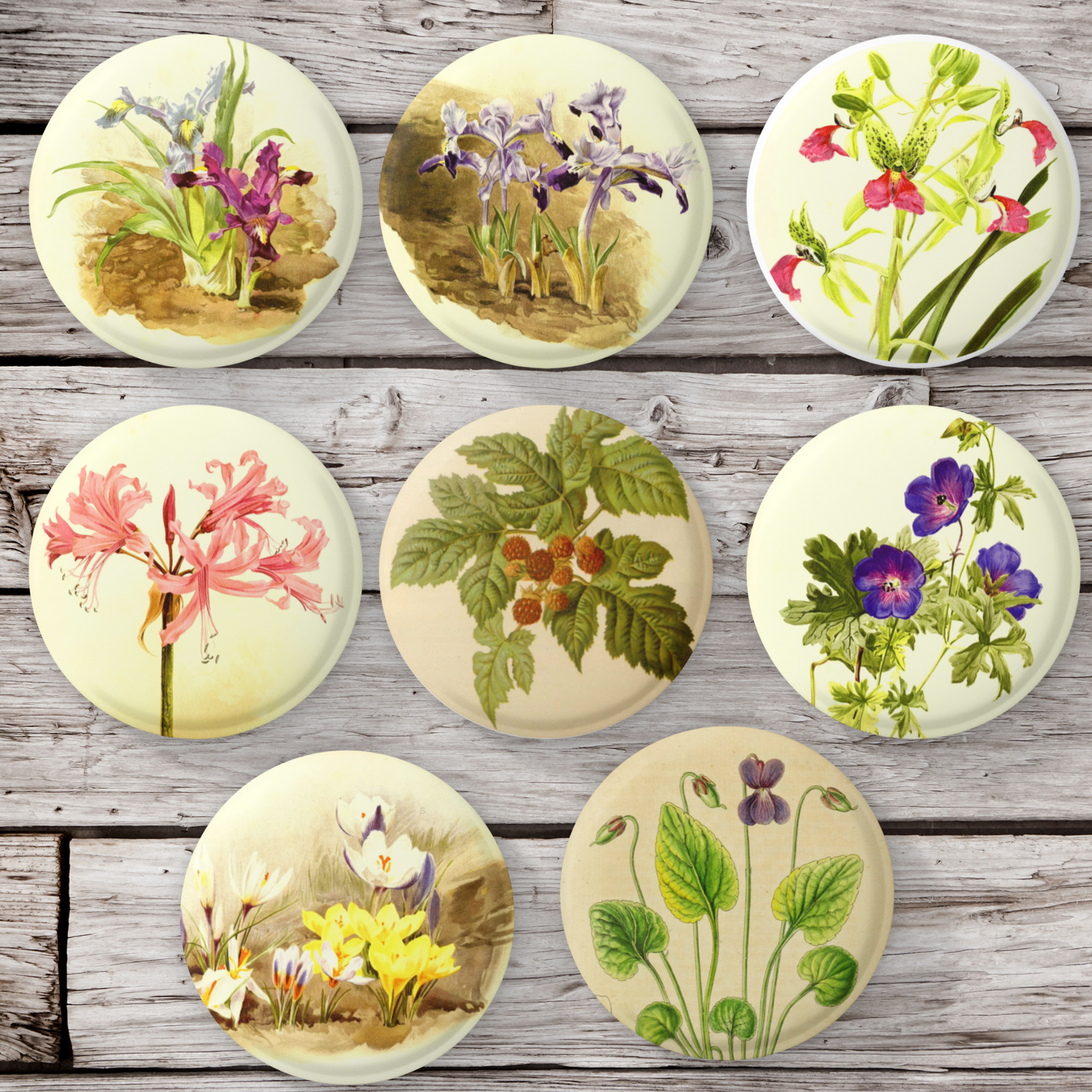 Natural History Botanical Mix Pins