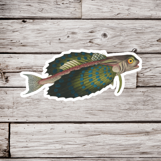 Flying Fish Sticker