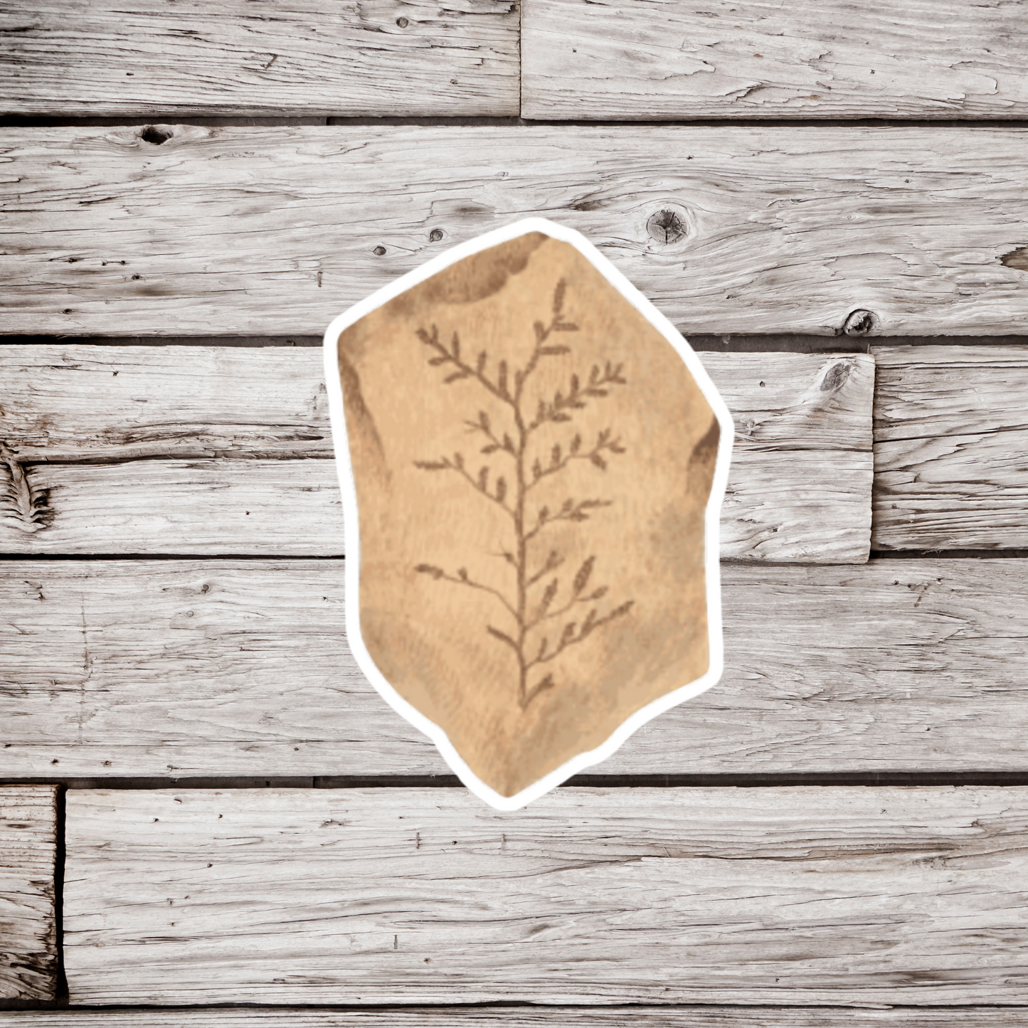 Plant Fossil Sticker