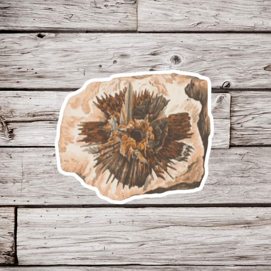 Flower Fossil Sticker