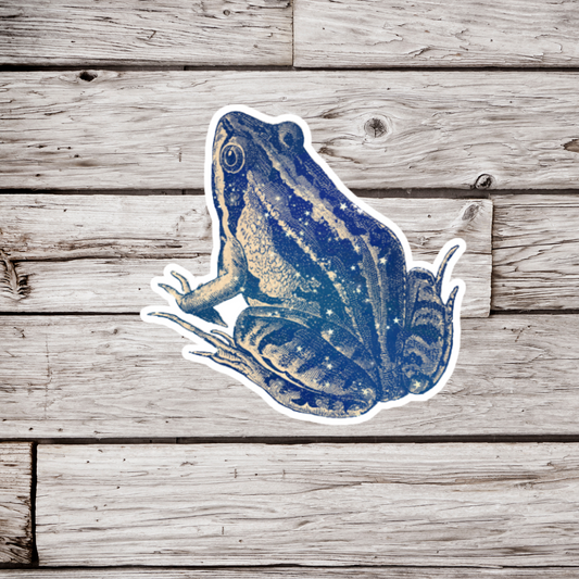 Celestial Frog Sticker