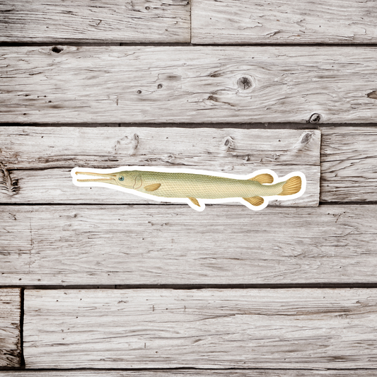 Gar Fish Sticker