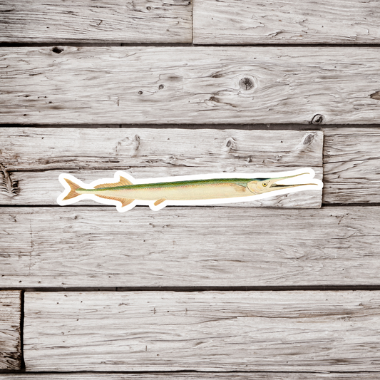 Gar Fish Sticker