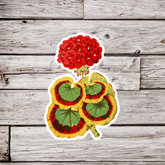 Geranium Flower Sticker