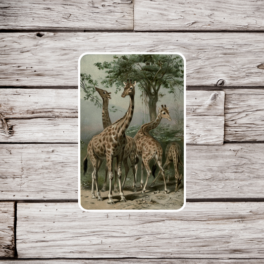 Giraffe Sticker