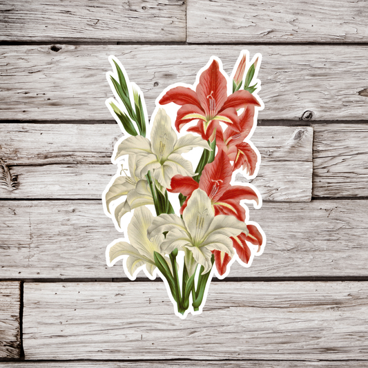 Gladiolus Sticker