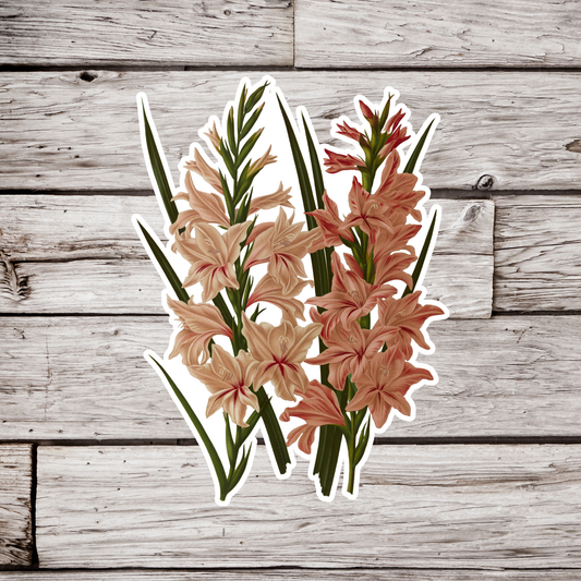 Gladiolus Sticker