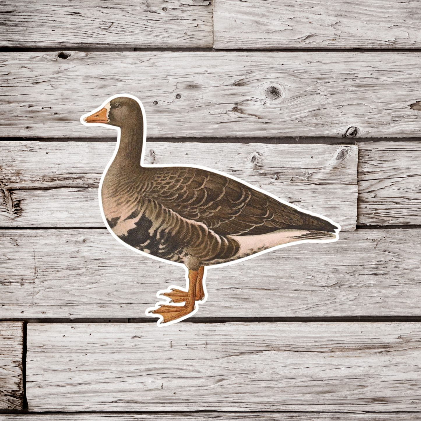 Goose Sticker