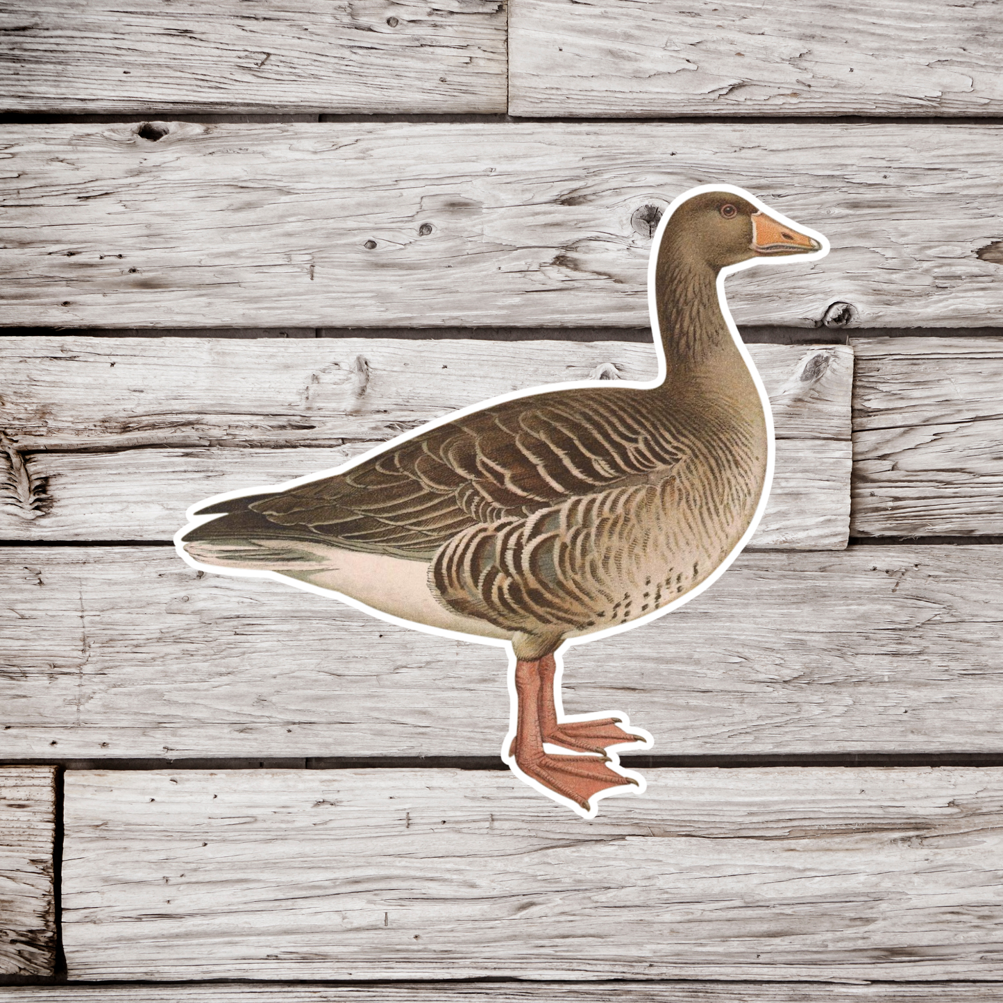 Goose Sticker