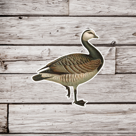 Goose Sticker