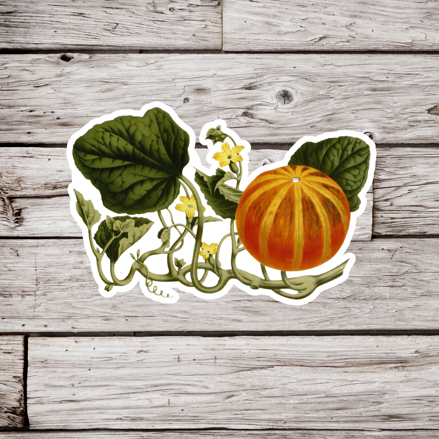 Gourd Sticker