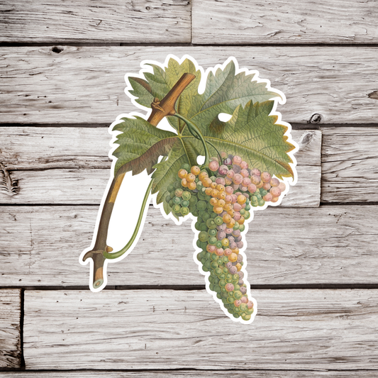 Grapes Sticker