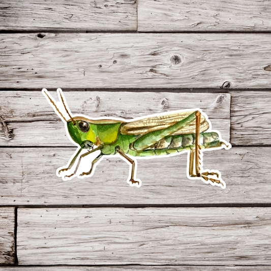 Grasshopper Sticker