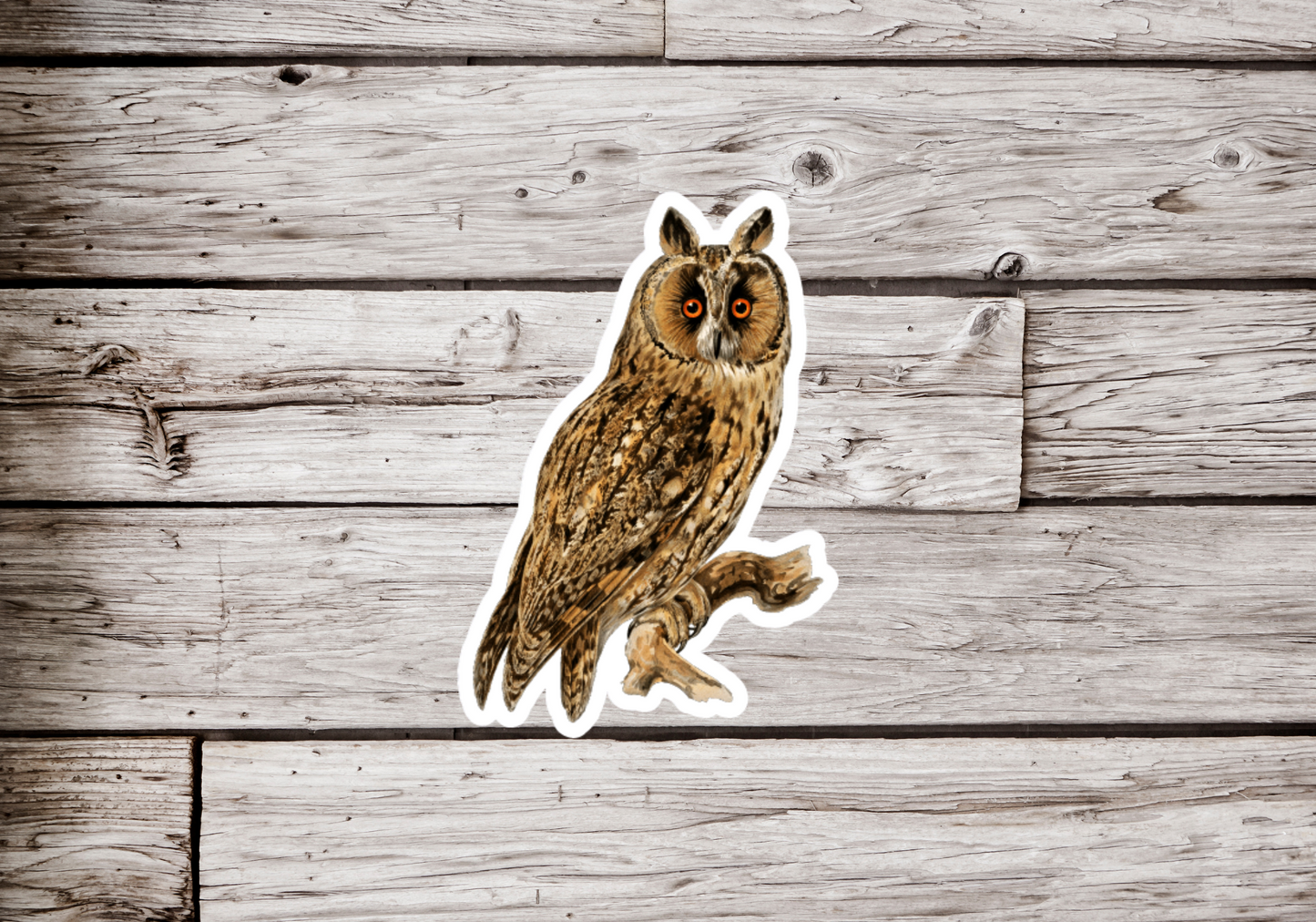 Great Horned Owl Sticker