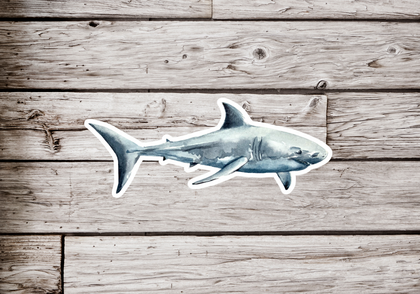 Great White Shark Sticker