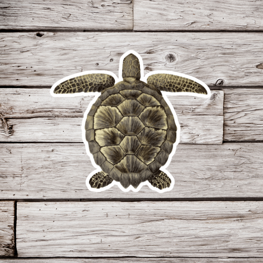 Green Sea Turtle Sticker