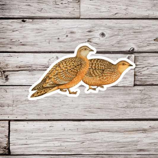 Grouse Sticker