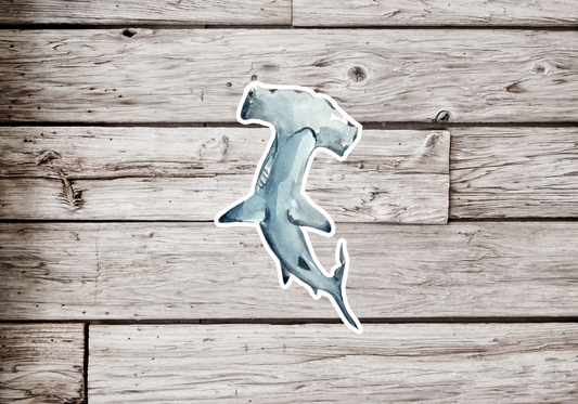 Hammerhead Shark Sticker or Magnet
