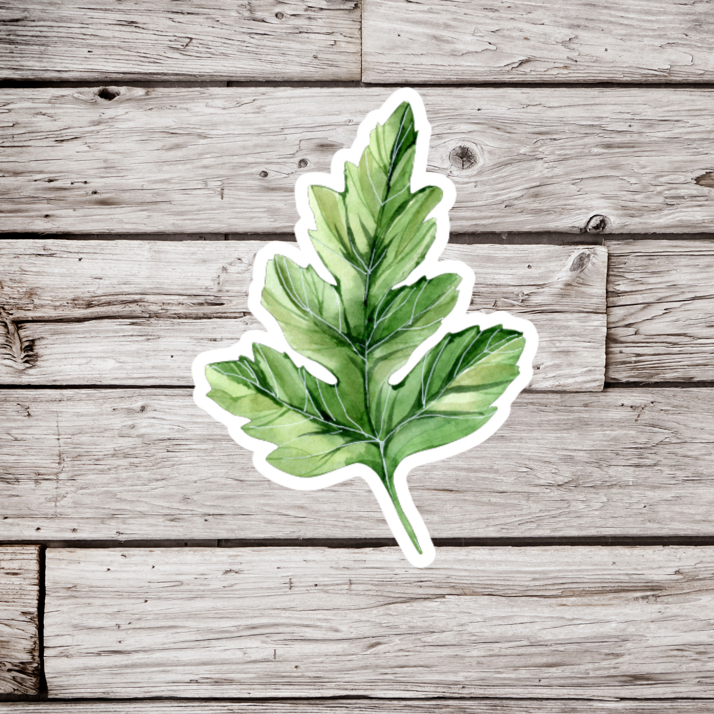 Hawthorn Leaf Sticker