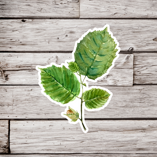Hazel Leaf Sticker