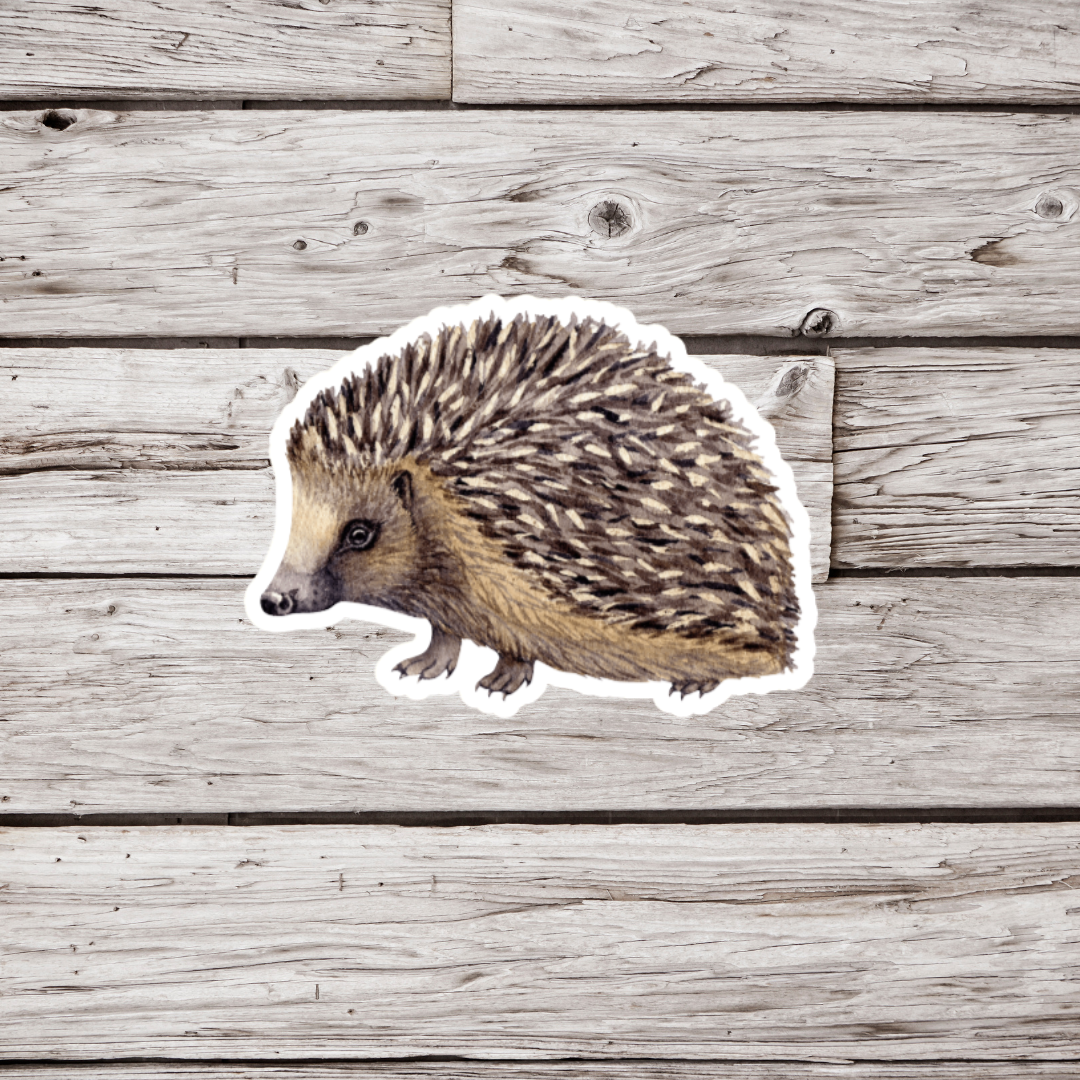 Hedgehog Sticker