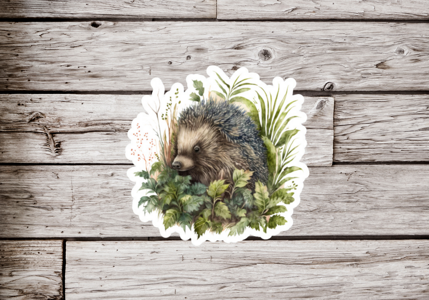 Hedgehog Sticker