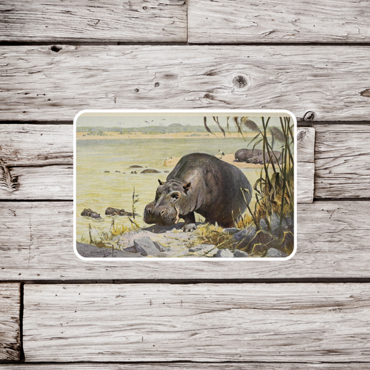 Hippopotamus Sticker