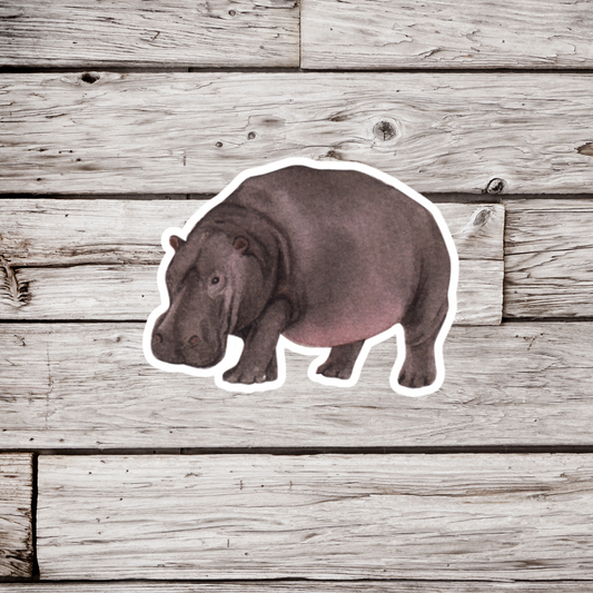 Hippopotamus Sticker