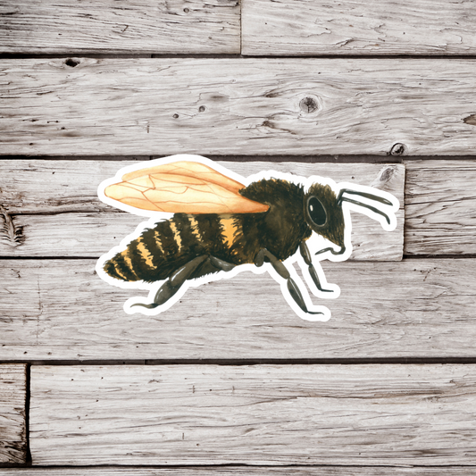 Honey Bee Sticker