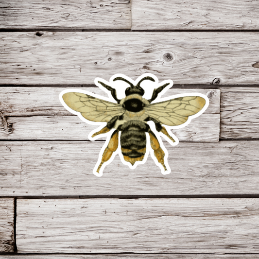 Honey Bee Sticker