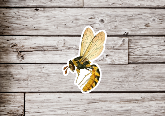 Hornet Sticker