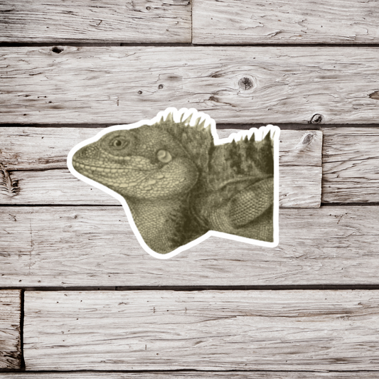 Iguana Sticker