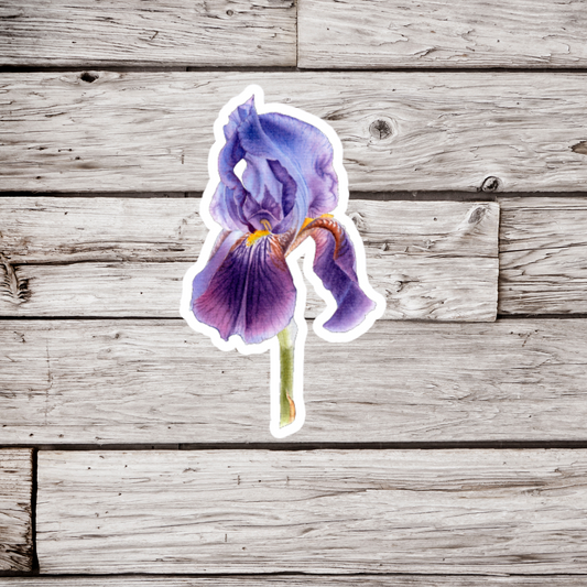 Iris Flower Sticker