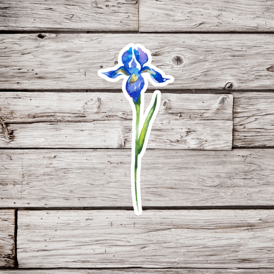 Iris Flower Sticker