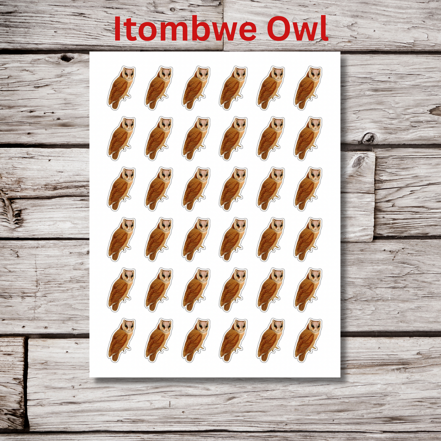 Owl Sticker Sheet