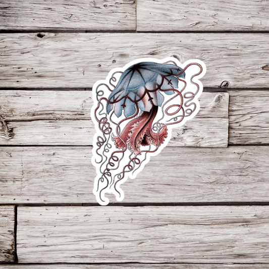 Jellyfish Sticker