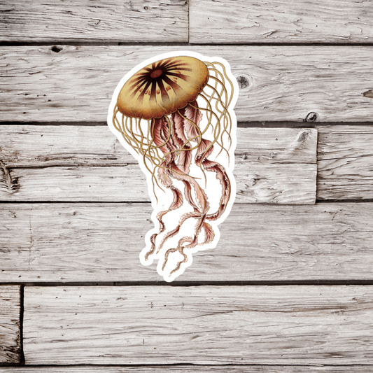 Jellyfish Sticker