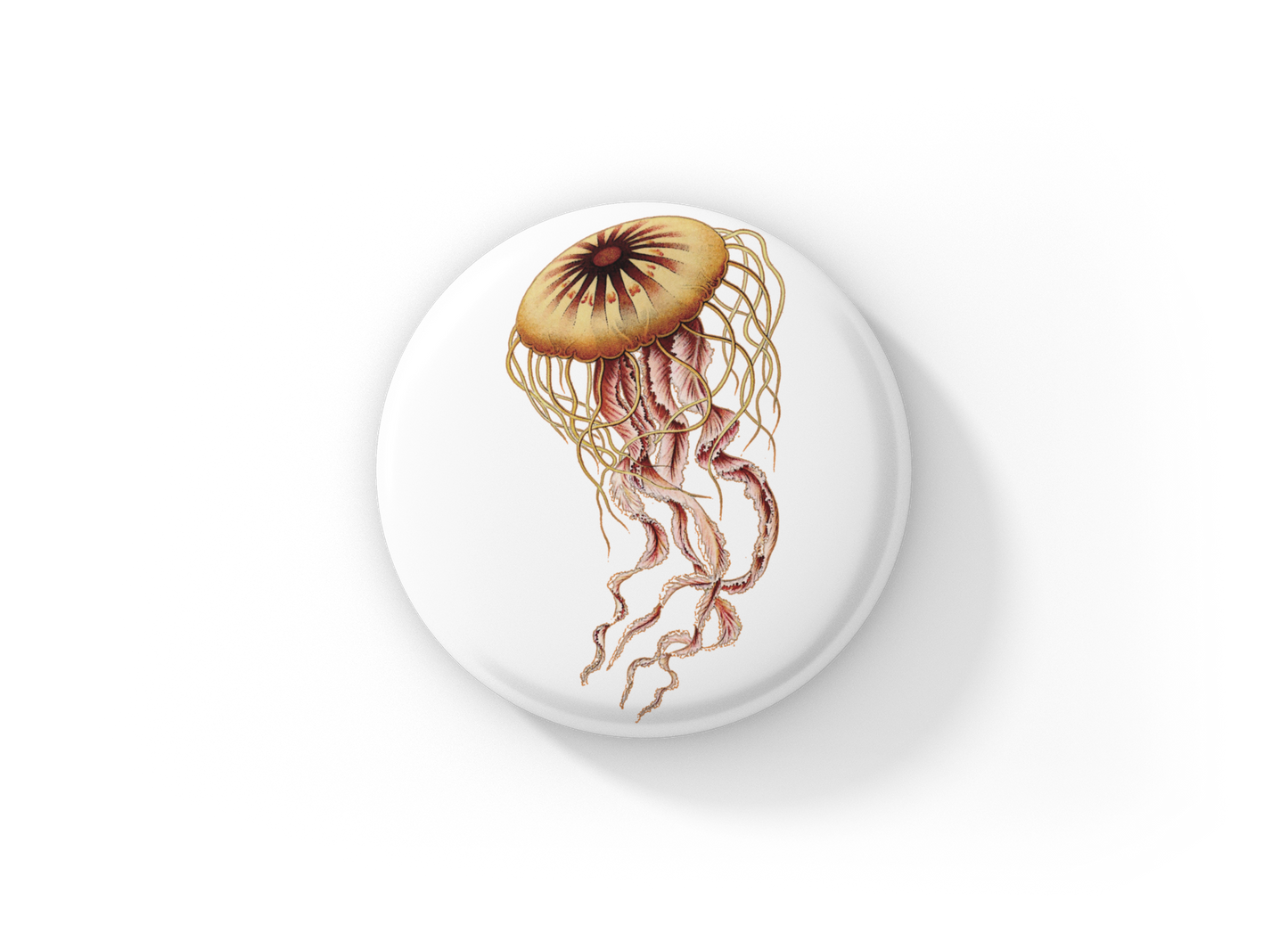 Jellyfish Pin Back Button, Magnet, Keychain