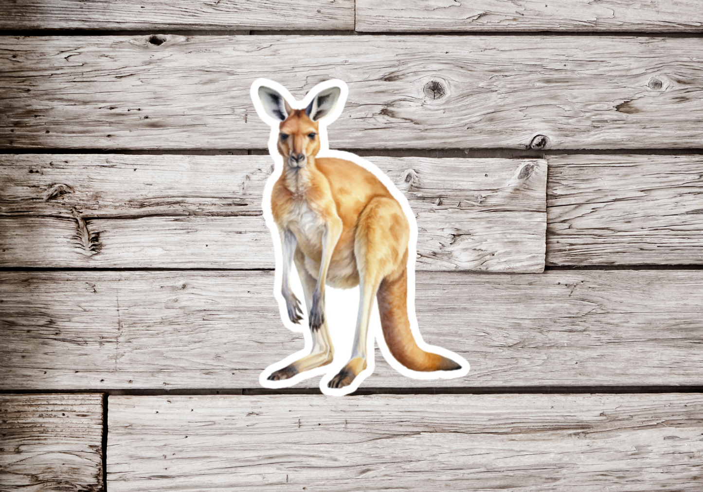 Kangaroo Sticker