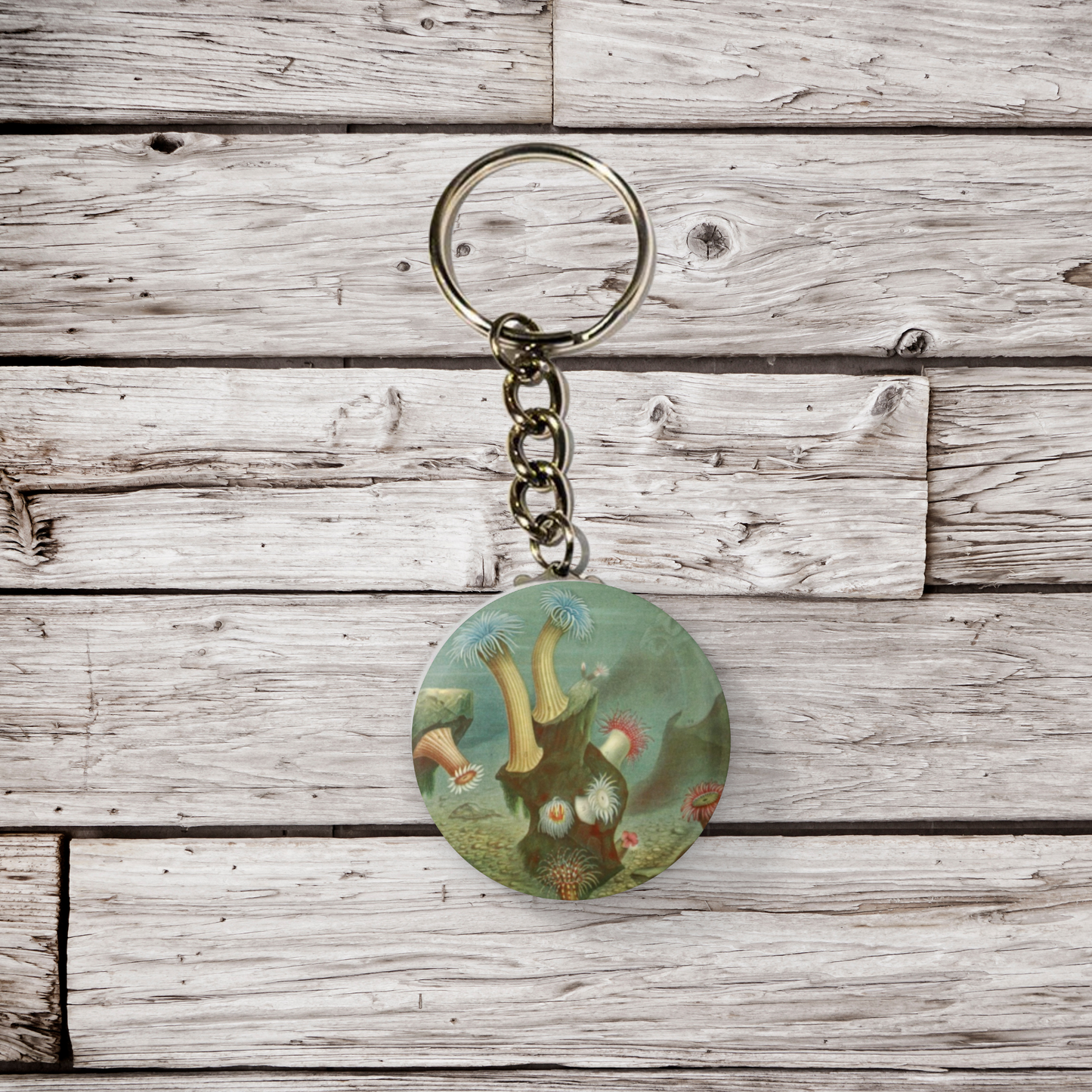 Sea Anemone Pin Back Button, Magnet, Keychain